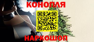 крисы Анапа