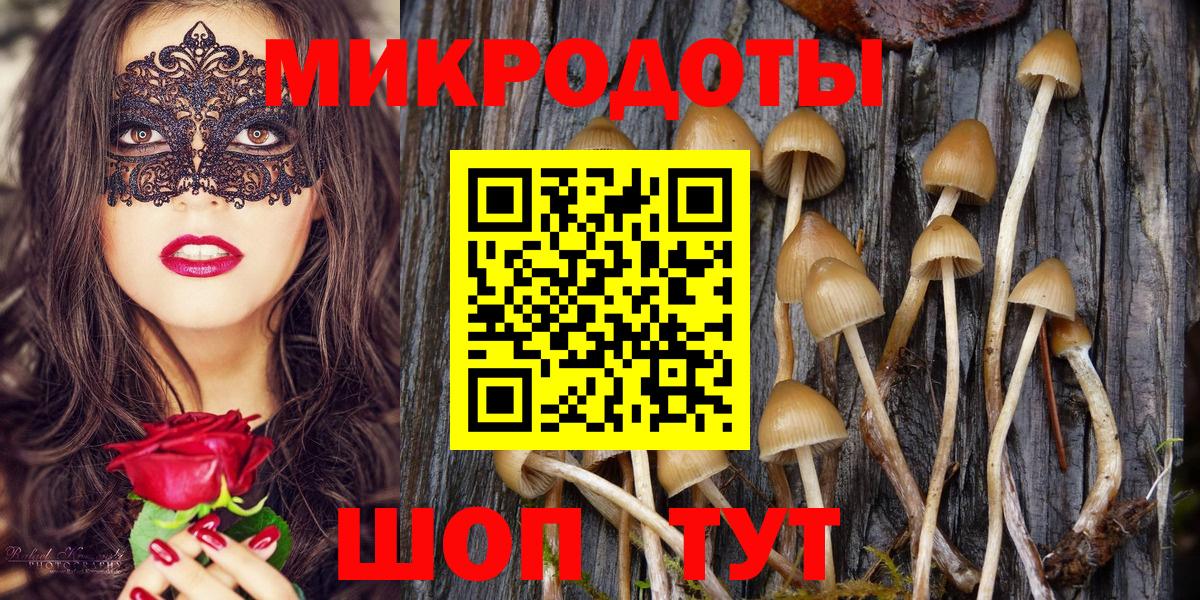 Псилоцибиновые грибы мухоморы Архангельск