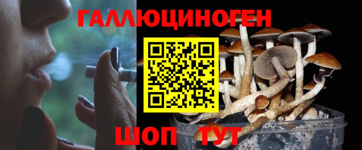 Псилоцибиновые грибы GOLDEN TEACHER  Вход с VPN  Псилоцибиновые грибы Psilocybe  Архангельск 